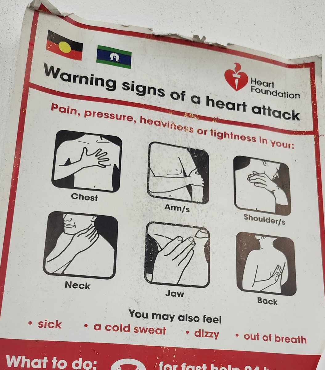 Jen Carnovale tweet media