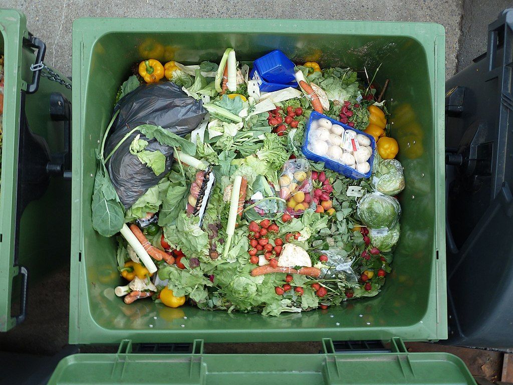 JRPsolutions's tweet image. Are you aware? 
From 31st March 2025, all domestic households and commercial organisations will need to have implemented separate food waste storage and collection processes.
Download our factsheet for more info and call us for help with a waste audit):
buff.ly/3LSyPEx