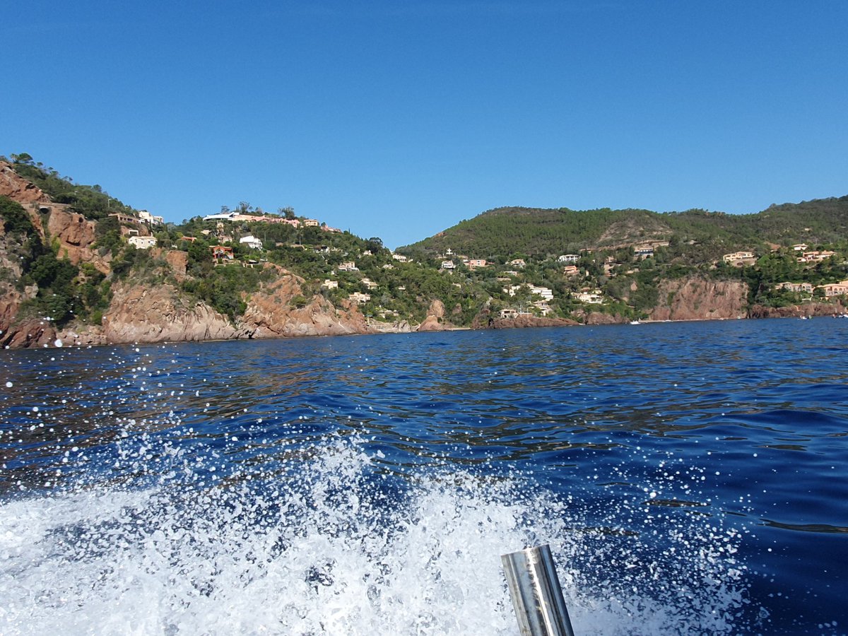 KaceyKells's tweet image. #SummerVibes2024 🏖
@IsabelladuLac1 @GiuseppeTurrisi @GoodsellMarvin @GrantNoland @GulfamBhatia1 @GuriyaDr32551 @ob10g @sansomtrio @SempaiGreg @SKGuna_writer @chrisy_flynn @DecksLower @EvBancroft @A_DiAngelo @CP_Daly @DariaK2002 @Dolormarie @Dougieg633 @emily01749597