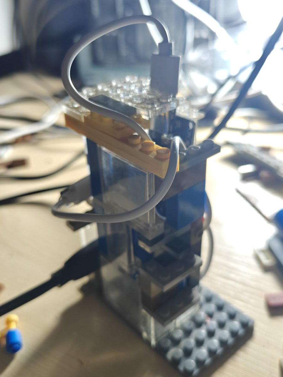 decentricity 🦔♀️ tweet media