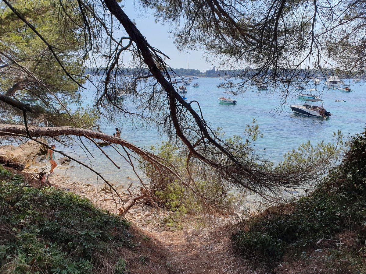 KaceyKells's tweet image. #SummerVibes2024 🏖
@DragonsPromise @AdamMichaelSmi4 @MaryLSchmidt @AuthorMichael57 @KathySWriter @calmb4storm0 @CarrollMin82867 @FireEyeBooks @Nagual44444 @NancySinatra @RaelleLogan1 @ravaghi @someone_1958 @TomRich13710985 @BeautyGirl007 @BeckettCar55380 @blujreviews