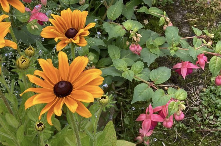 Phil Forder tweet media