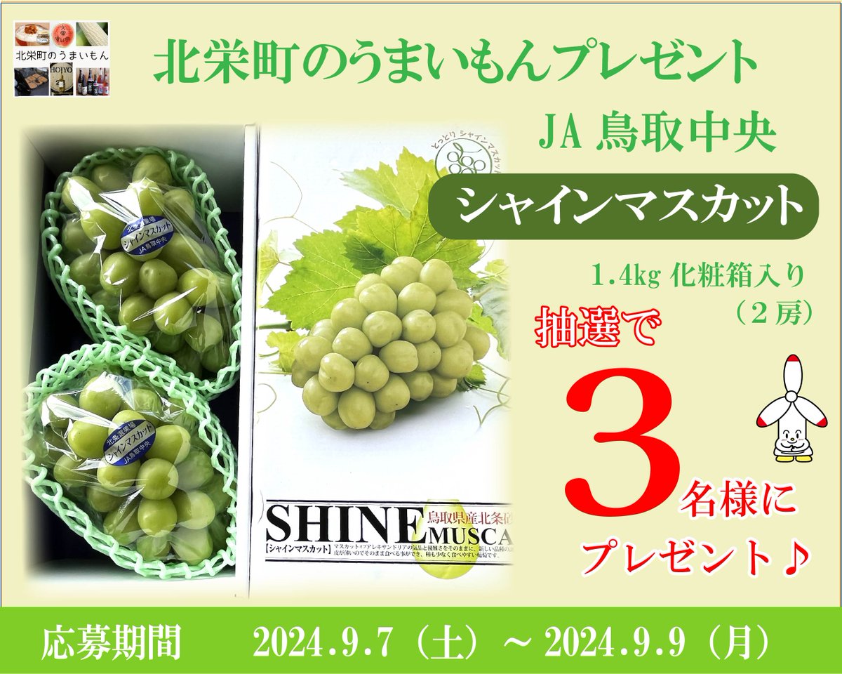 【北栄町のうまいもんプレゼント】
JA鳥取中央の「シャインマスカット（1.4kg/
2房入り）」を、抽選で3名様へプレゼント🍇

 ★応募方法★
期間：2024/9/7（土）～9/9（月）
①（一社）北栄町観光協会アカウント（ <a href="/Hokuei_TA/">（一社）北栄町観光協会</a> )をフォロー  
②この投稿をリポスト🔃
※当選者へDMを送付します。