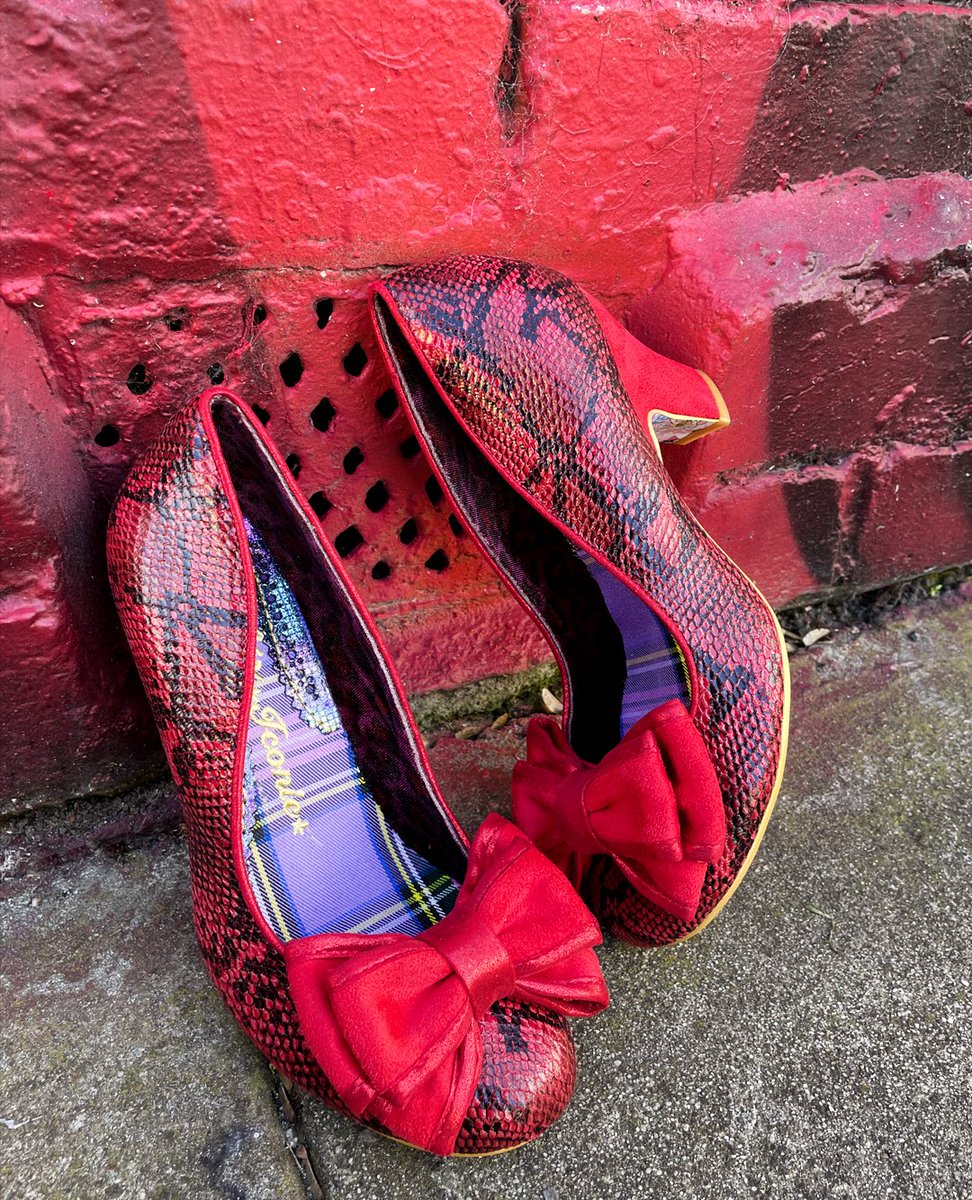 IrregularChoice's tweet photo. When you walk my way, hope it gives you heel πΉ
Giving reptile realness with every step π All of our 'Ban Joe' heels are 100% head-turners β€οΈ
https://t.co/EqQ3oX5FPu
#irregularchoice #statementshoe #shoeaddict https://t.co/oDOwvae6Hz