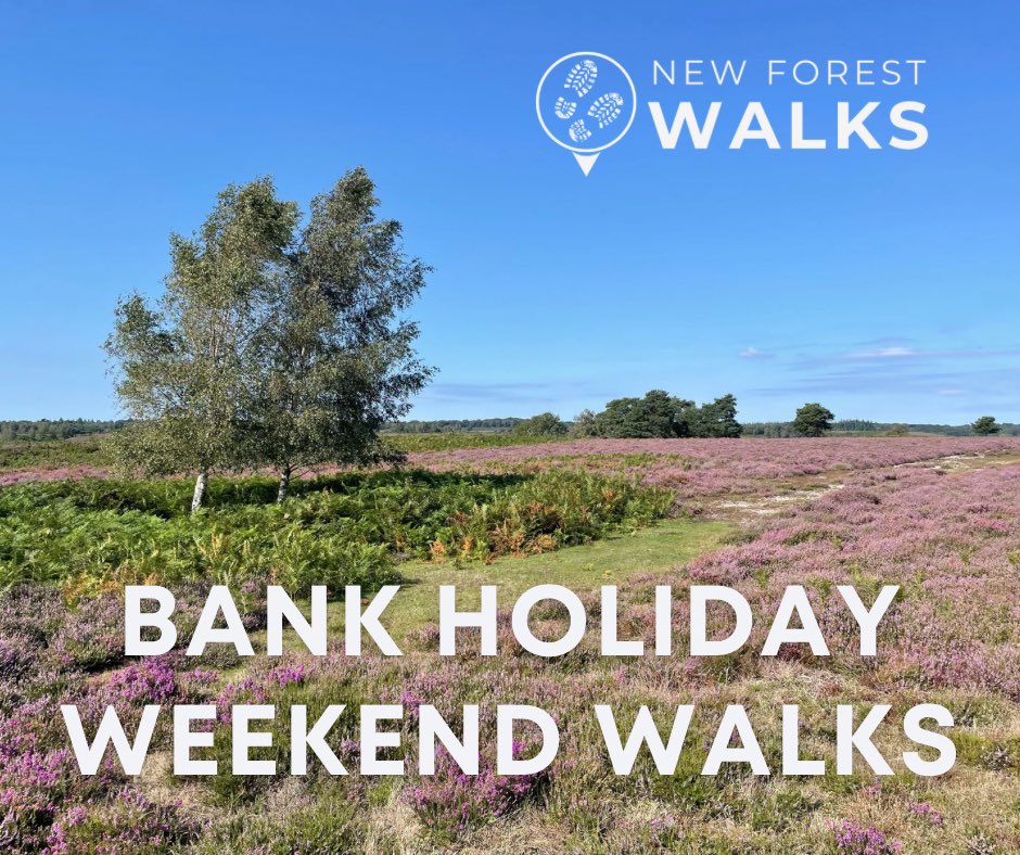 New Forest Walks tweet media