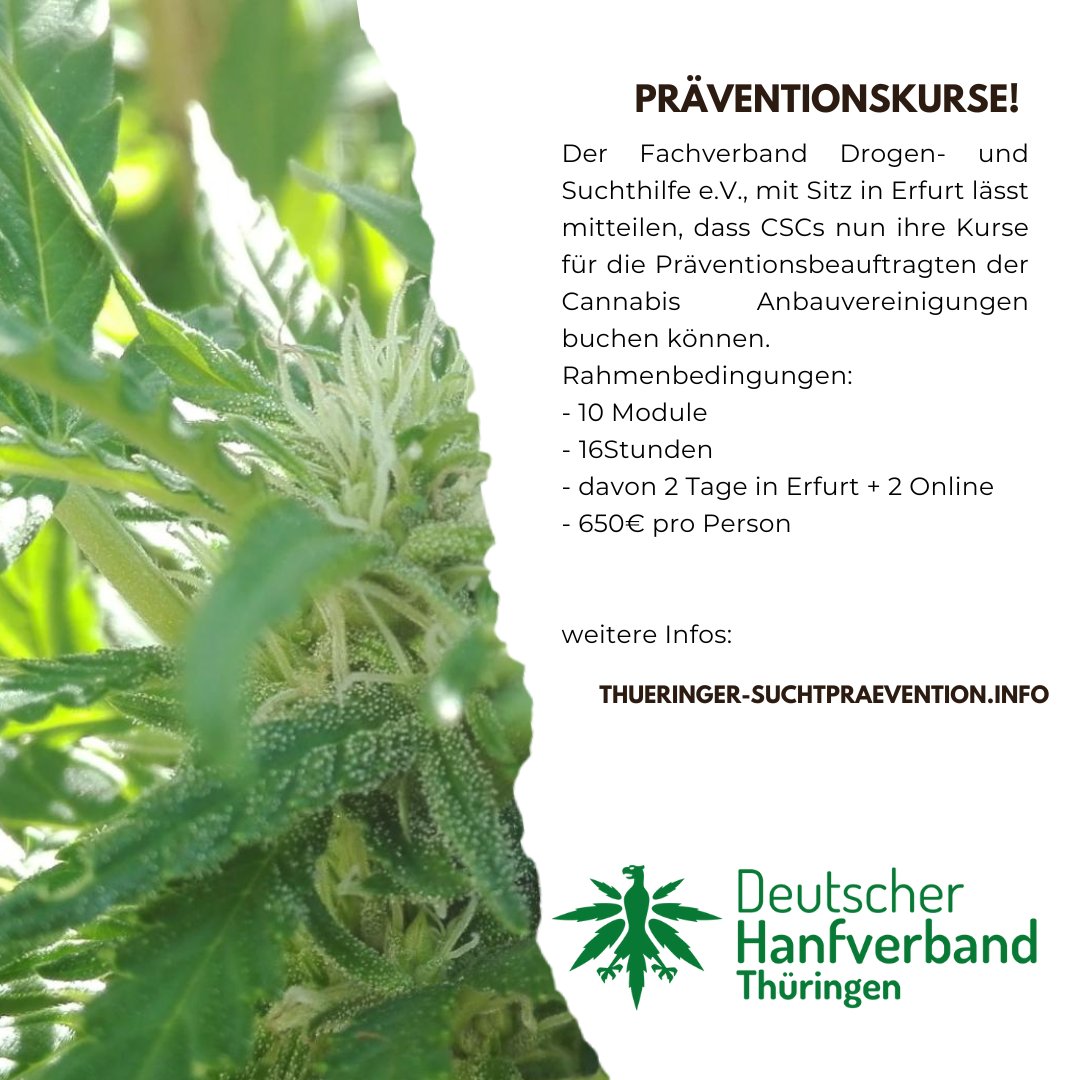DHVThueringen's tweet photo. Die ersten Kurse für Präventionsbeauftragte der Cannabis Anbauvereinigungen sind nun in Thüringen buchbar. 

https://t.co/qHedwt3LNJ https://t.co/FqimHidPZH