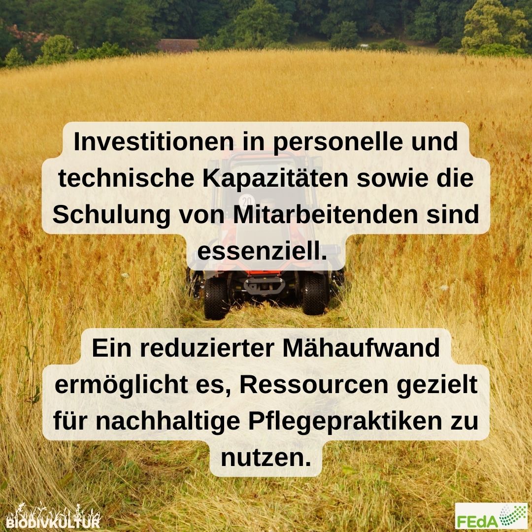 BioDivKultur (@biodivkultur) on Twitter photo Tipp 5️⃣ aus unserem Leitfaden lautet: Kapazitäten ausbauen und Wissen fördern!
➡️ Die Schulung von Mitarbeitenden und der Ausbau von personellen und technischen Kapazitäten sind wichtige Stellschrauben für eine biodiversitätsfreundlichere Pflege. <a href="/FEdA_Biodiv/">FEdA | Biodiversität erforschen und erhalten</a> Tipp 5️⃣ aus unserem Leitfaden lautet: Kapazitäten ausbauen und Wissen fördern!
➡️ Die Schulung von Mitarbeitenden und der Ausbau von personellen und technischen Kapazitäten sind wichtige Stellschrauben für eine biodiversitätsfreundlichere Pflege. <a href="/FEdA_Biodiv/">FEdA | Biodiversität erforschen und erhalten</a>