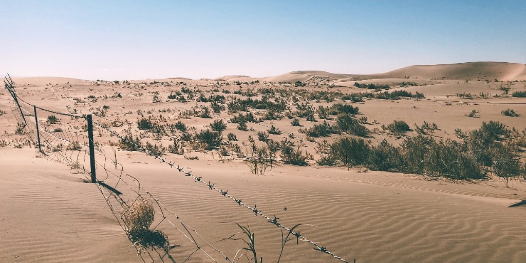 stbctb's tweet photo. Composite configuration of #gauze, #polylactic acid, and straw barriers could effectively stabilize sand and reduce #wind #erosion along the typical Yellow River bank in Ulan Buh #Desert of China!👇
https://t.co/lHVWzCLy9G https://t.co/uvQ8Sukp9L