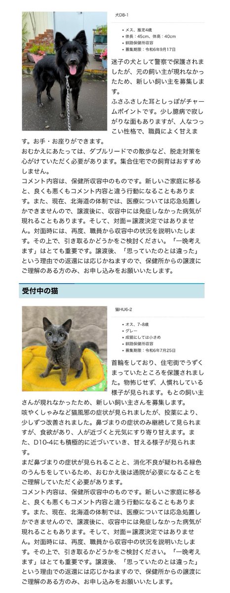 Apple20130506's tweet photo. 釧路振興局さん①
現在の募集メンバーがこちらです。D7-2さんが出産(♂♀2名ずつ)したので、非掲載犬さんがまだ4名います。一部センターに移動した猫チームですが、チビにゃんずが増えて収容過多です。 #拡散希望 #北海道 #保健所 #里親募集 #釧路 #犬の里親募集 
https://t.co/kMO8lYm7vZ https://t.co/P1q7Yoav9K