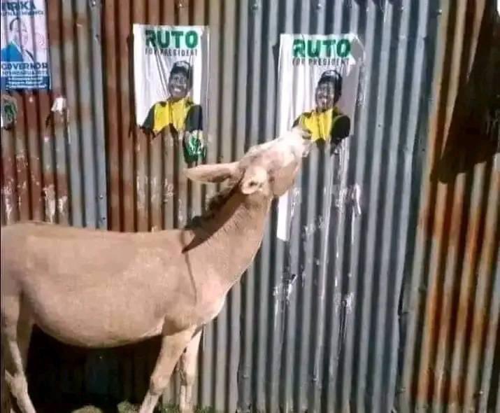 The government fired 742 JSS teachers for demanding for better pay?
Bwana if this is true, the government shall know NO PEACE until they’re reinstated and our teachers are hired on permanent basis! 
WE SHALL BE THERE WITH &amp; FOR OUR TEACHERS!!!