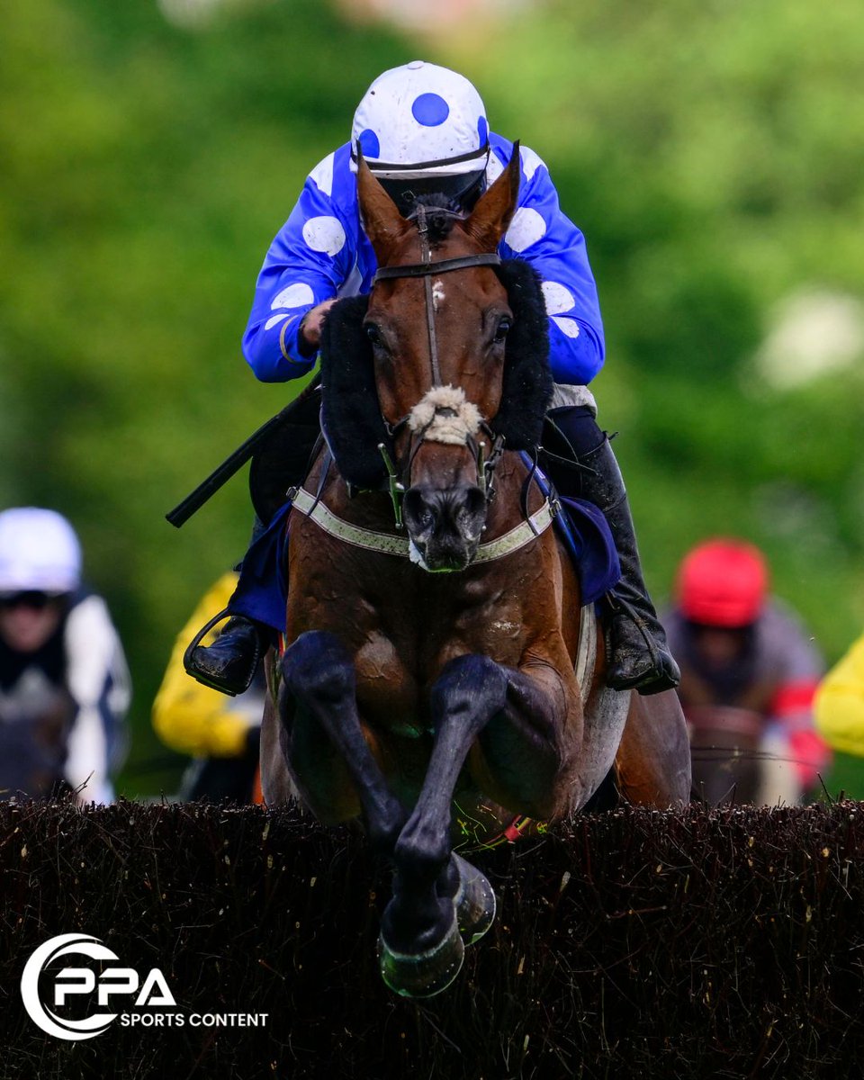 PPA Sports Content tweet media