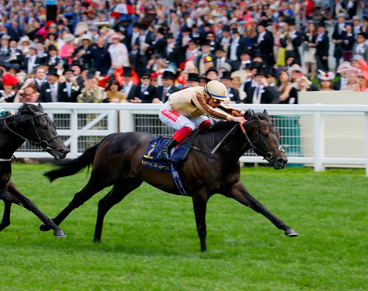 newsellspark's tweet photo. โIโll be chasing up the first AโALI yearlings for sure. I can see him working well, as he was a lovely, genuine horse with a lot of speed and natural talent.โ
Mickey Cleere @McThoroughbreds @BrzUps consignor of G1 2yo BIG EVS. Good luck today ๐ค
๐กโซ๏ธ๐ #AALI #FirstYearlings https://t.co/NJXlw5jxnD
