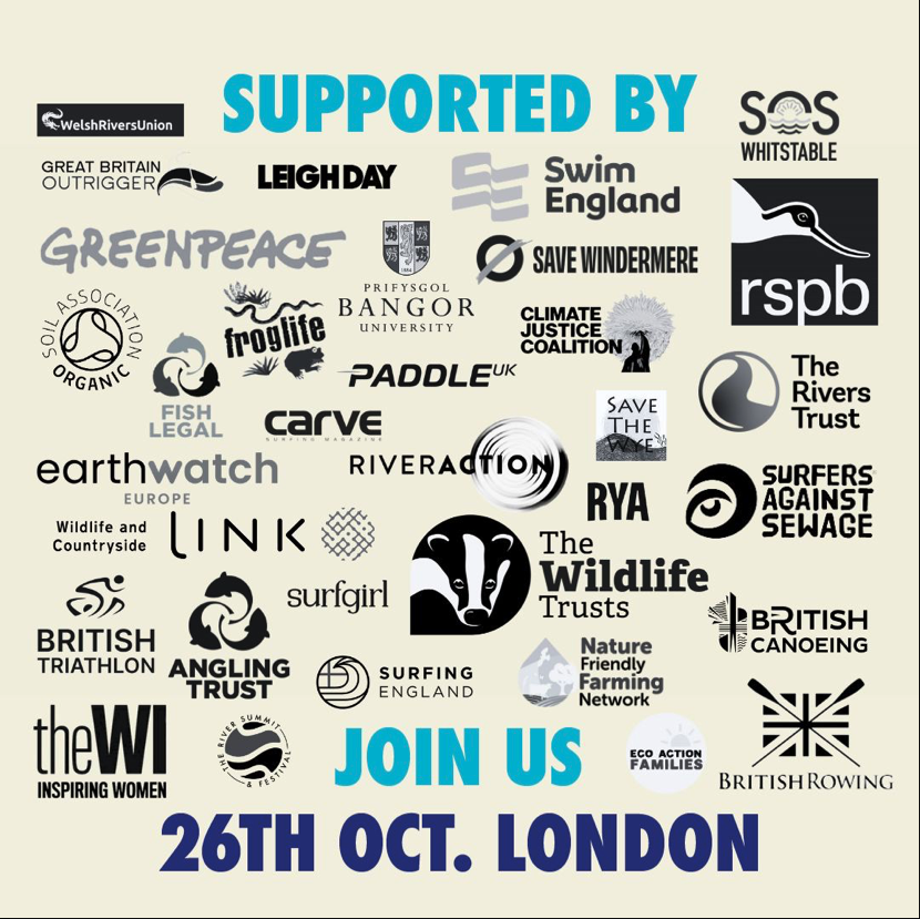 CARVE Surfing Magazine tweet media