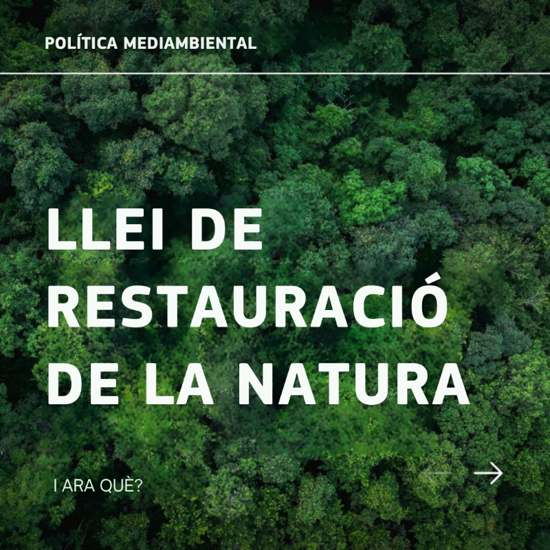 ComissioEuropea's tweet photo. 📢 La Llei 🇪🇺 de restauració de la Natura entra en vigor!
Implementa mesures per recuperar un bon estat dels hàbitats terrestres i marins.
També és un pas clau per assolir la neutralitat climàtica l'any 2050 i garantir la seguretat alimentària 👇
#PacteVerd @eu_env