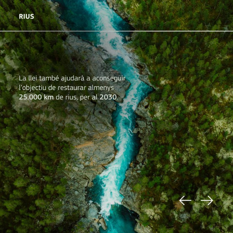 ComissioEuropea's tweet photo. 📢 La Llei 🇪🇺 de restauració de la Natura entra en vigor!
Implementa mesures per recuperar un bon estat dels hàbitats terrestres i marins.
També és un pas clau per assolir la neutralitat climàtica l'any 2050 i garantir la seguretat alimentària 👇
#PacteVerd @eu_env