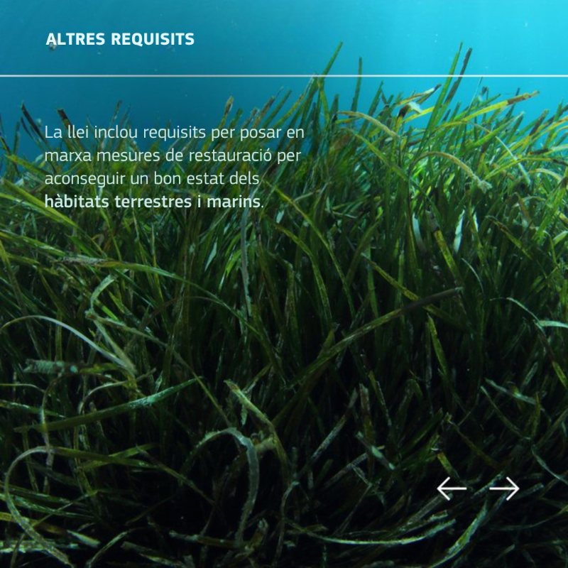 ComissioEuropea's tweet photo. 📢 La Llei 🇪🇺 de restauració de la Natura entra en vigor!
Implementa mesures per recuperar un bon estat dels hàbitats terrestres i marins.
També és un pas clau per assolir la neutralitat climàtica l'any 2050 i garantir la seguretat alimentària 👇
#PacteVerd @eu_env
