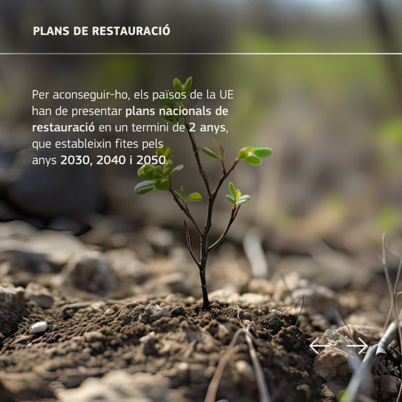 ComissioEuropea's tweet photo. 📢 La Llei 🇪🇺 de restauració de la Natura entra en vigor!
Implementa mesures per recuperar un bon estat dels hàbitats terrestres i marins.
També és un pas clau per assolir la neutralitat climàtica l'any 2050 i garantir la seguretat alimentària 👇
#PacteVerd @eu_env