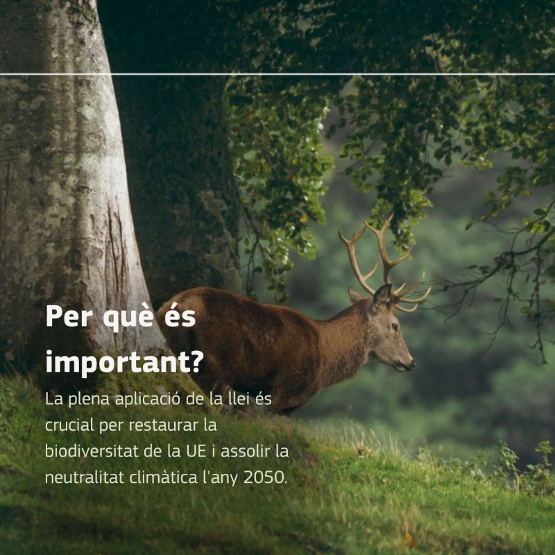 ComissioEuropea's tweet photo. 📢 La Llei 🇪🇺 de restauració de la Natura entra en vigor!
Implementa mesures per recuperar un bon estat dels hàbitats terrestres i marins.
També és un pas clau per assolir la neutralitat climàtica l'any 2050 i garantir la seguretat alimentària 👇
#PacteVerd @eu_env