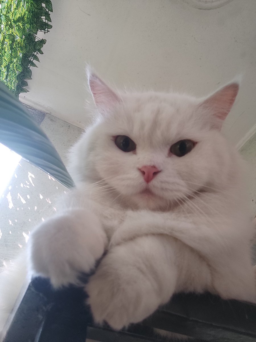 Bisa ga sie kalau foto jangan dari bawah huft