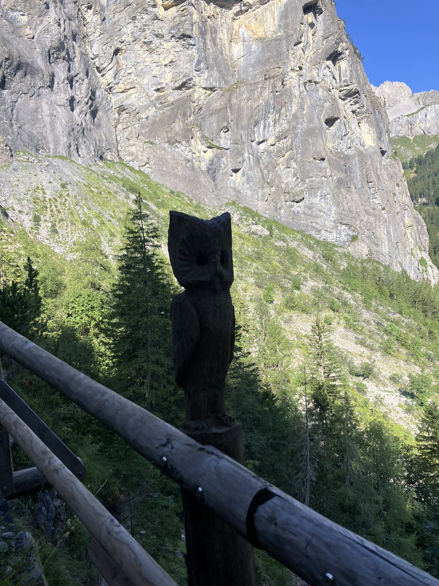 The best Galihorne group