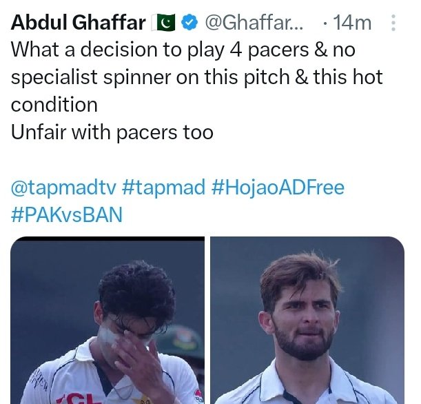 mehmal tweet media