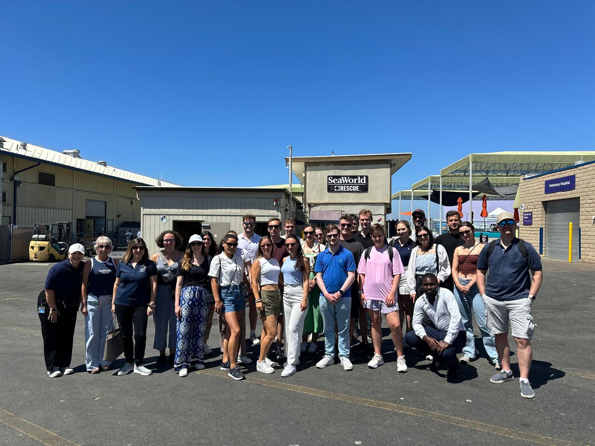 10 Jahre FOM Auslandsprogramme in San Diego!🇺🇸

Im August reisten 65 Studierende unserer Bachelor- und Masterstudiengänge erneut nach Kalifornien.

Die FOM bietet zahlreiche Auslandsprogramme an: fom.de/international. 🌍