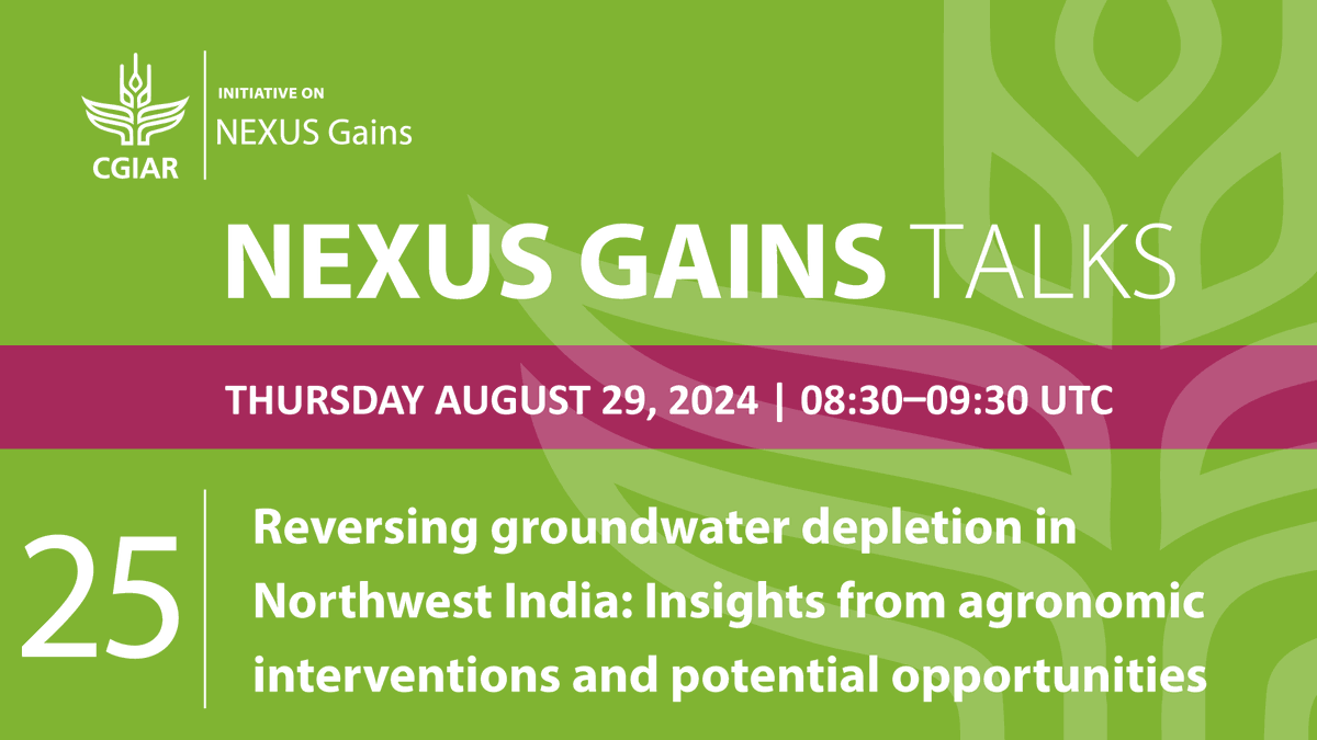 CGIAR's tweet photo. August’s #NEXUSGainsInitiative webinar explores how to save water in Northwest India – depleted from intensive paddy cultivation – to contribute to groundwater table rejuvenation. 💧🌾📈

💻 https://t.co/mnu2N8DKcI
🗓️ 29 August

With @ProloyDeb &amp; @swatantratech1

#OneCGIAR @irri https://t.co/4X9HYM7NSq