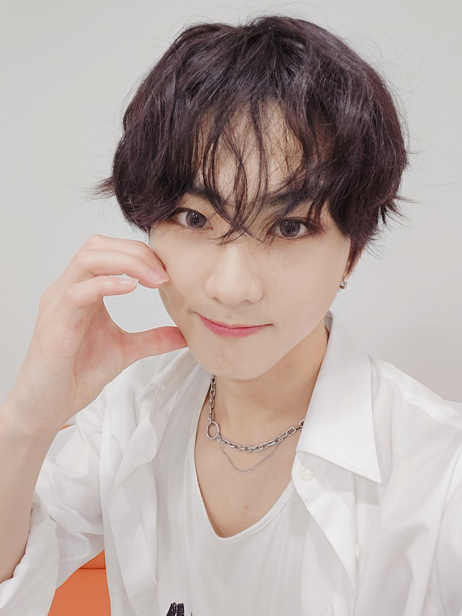 ENHYPEN WEVERSE tweet media