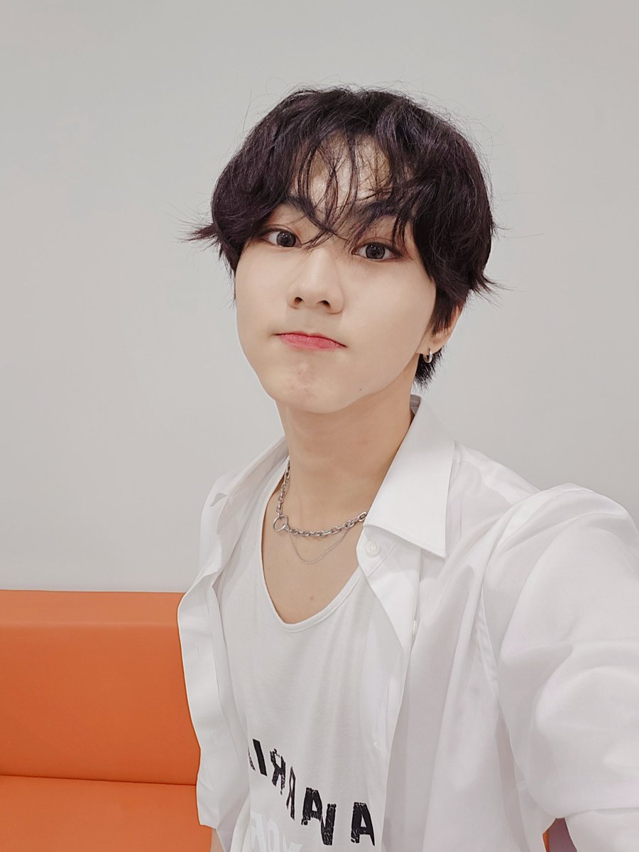ENHYPEN WEVERSE tweet media