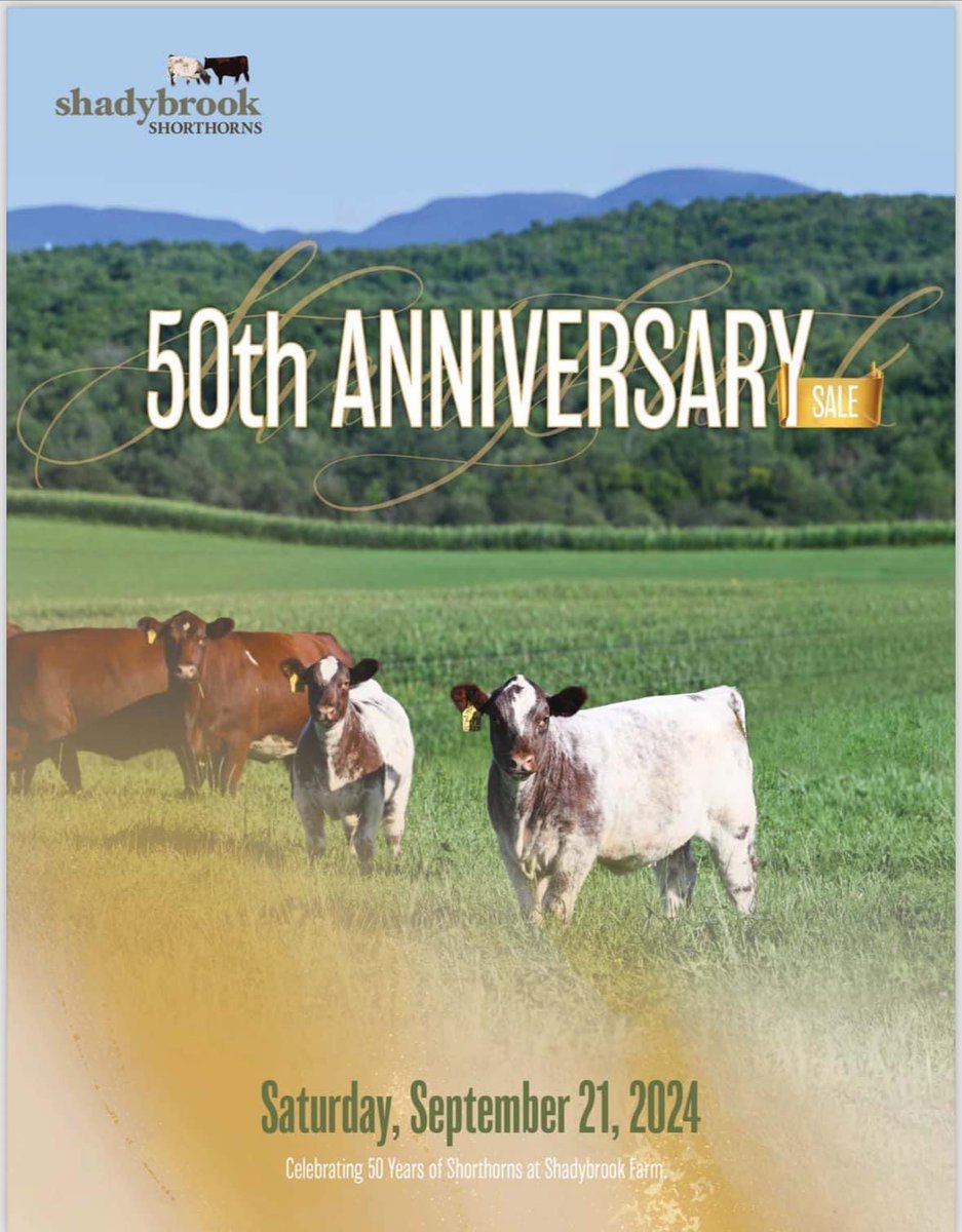 LifestockPod's tweet photo. We stick out east  in Quebec for episode 41 having Shadybrook Shorthorns with Kevin Dempsey on to talk shop. 
The story of Shadybrook is fun to review. The passion that this business can ignite and the love of the breed Mr Pathy charge ahead with, it’s about the goals to improve https://t.co/RMRcEiDR7r