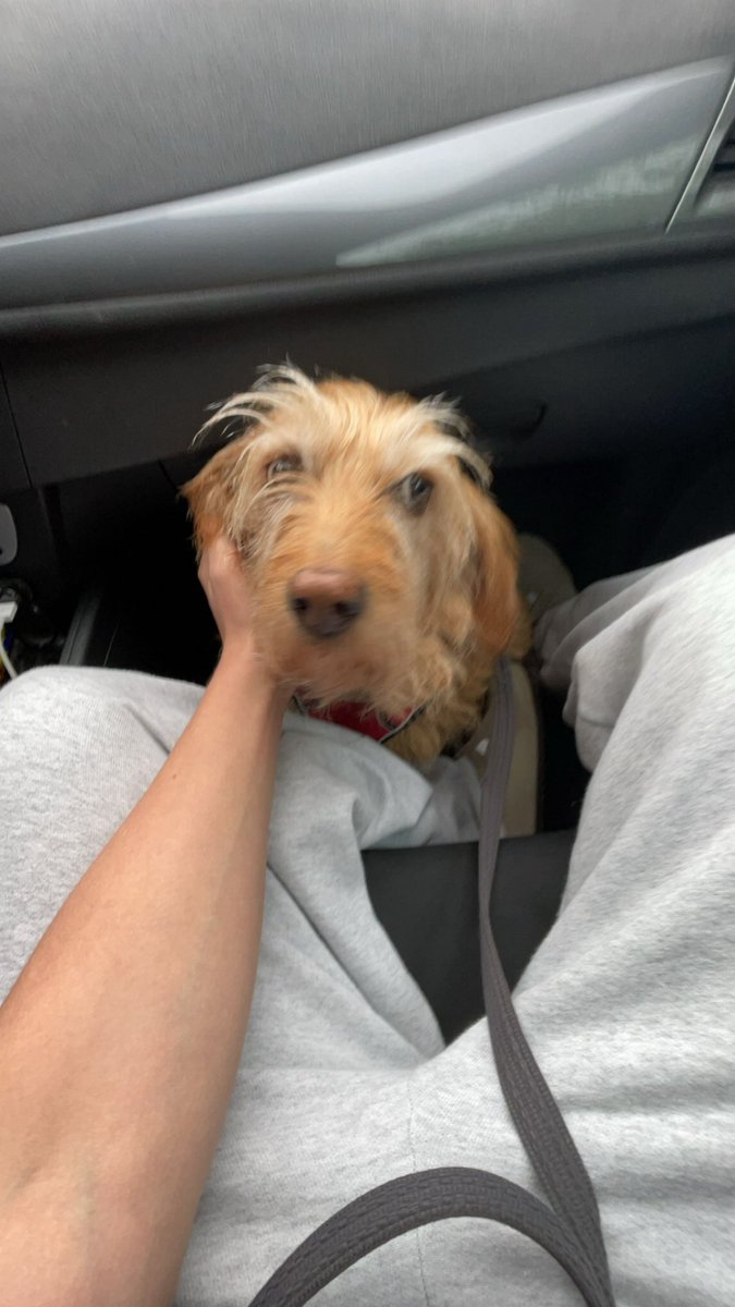 Fly High Queen 🕊️ ❤️