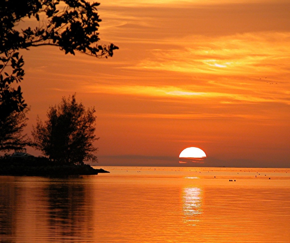 Planning a last-minute trip? Check out these fall travel deals throughout the U.S.! rcitrvl.com/4g7SFtE