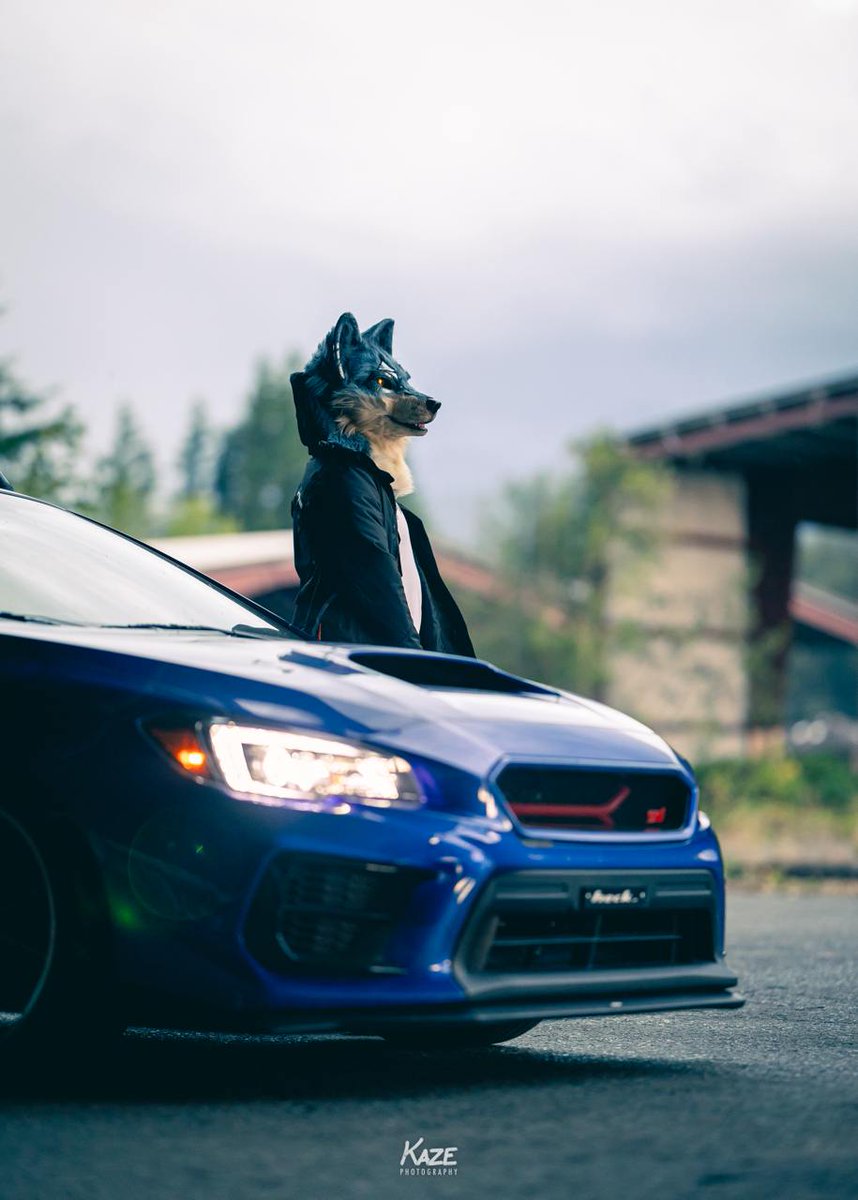 Waiting for the storm to pass. 

#FursuitFriday 
📷: <a href="/KazeShiba/">Kaze/Kazumi @ Bluesky</a>