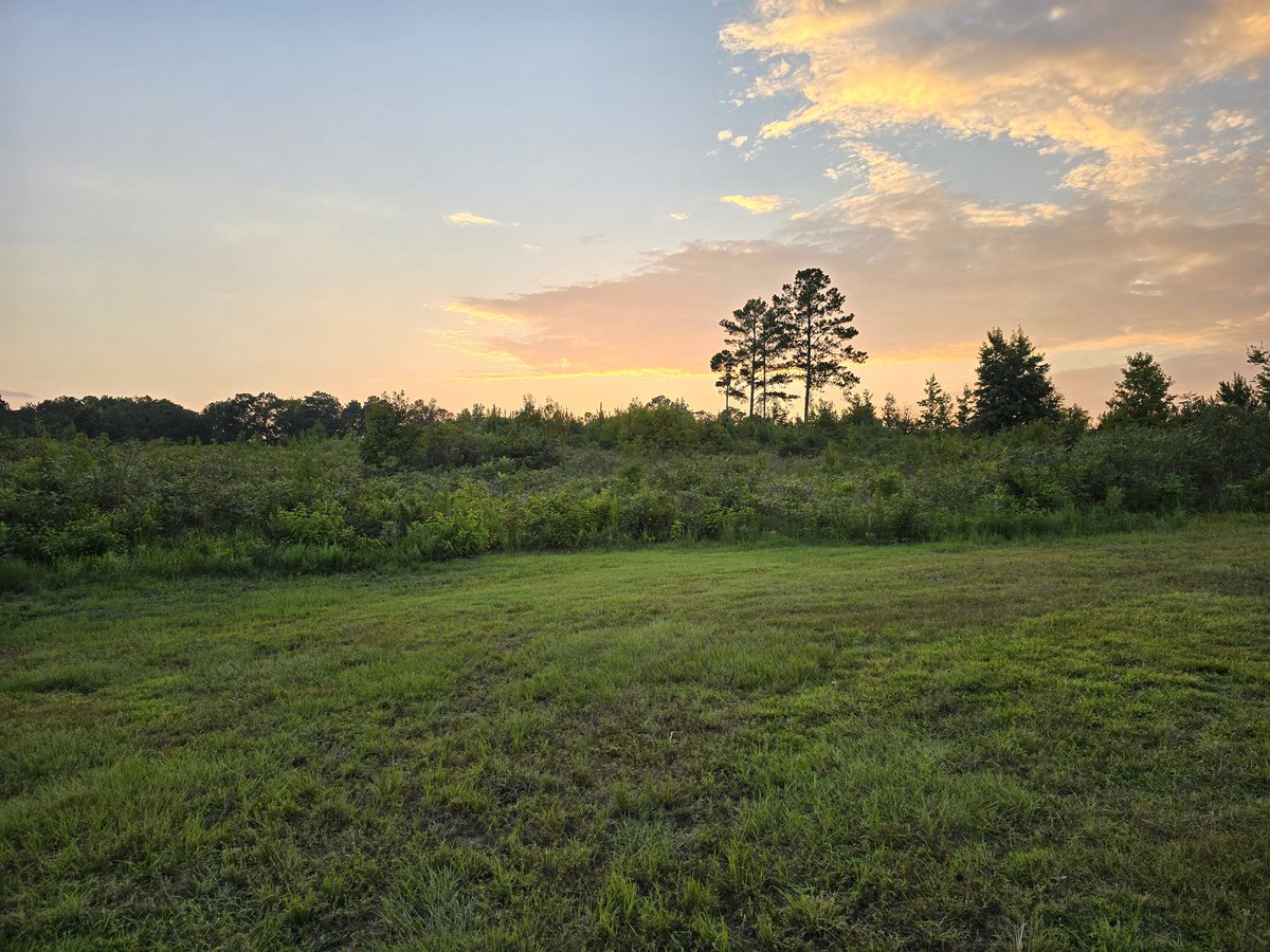 Harrison Kinsley tweet media