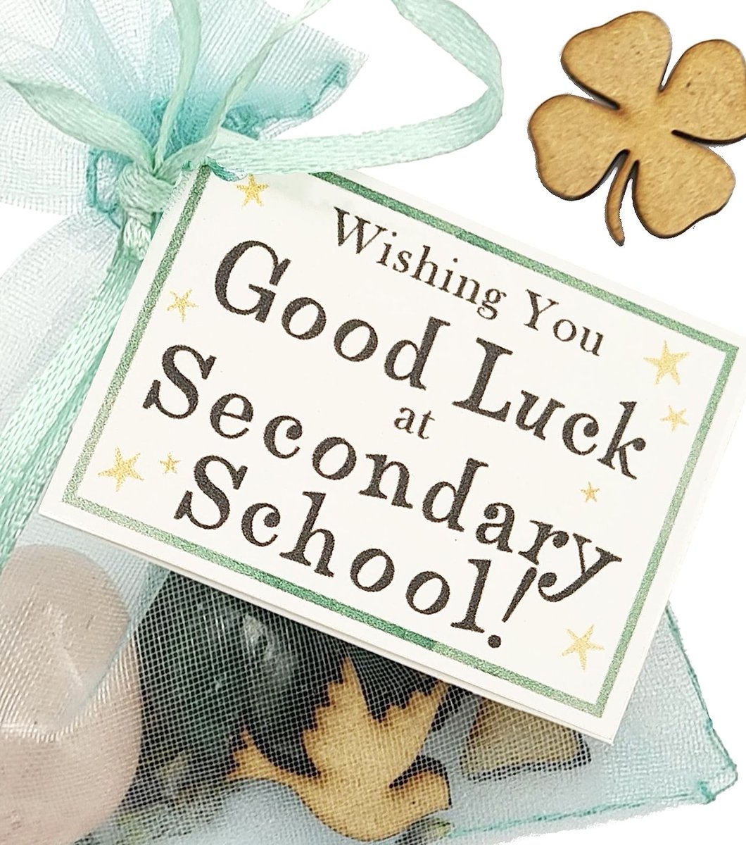 Wishing all our past pupils from Rang 6 2023/2024 every success at Post-Primary School! Go n-eirí an t-ádh libh go léir! ☘️🙏📆📖📓✏️📚💻
