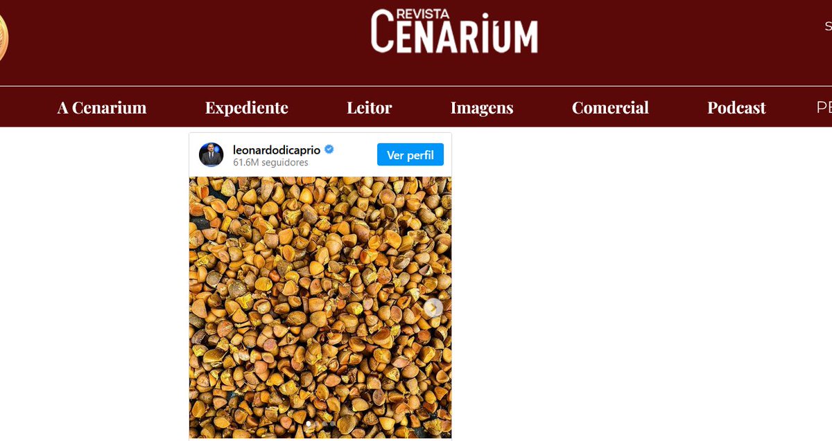 O <a href="/LeoDiCaprio/">Leonardo DiCaprio</a> reforçou seu compromisso com a preservação da Amazônia ao elogiar a inauguração do Ecocentro em Santarém. O projeto visto como um modelo de sustentabilidade, teve a colaboração direta dele por meio da organização Rewild, da qual é fundador. revistacenarium.com.br/leonardo-dicap…