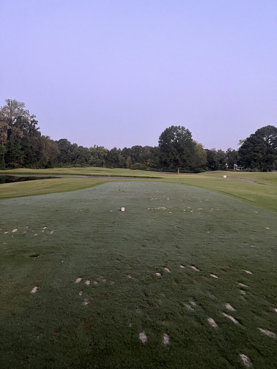 Corey Voyles (@cbvoyles) on Twitter photo Happy Friday! Sun is shining. — Glad we transitioned some of our Par 3 tees to Tahoma. They take a beating. Recovery is quick and with no rain in sight they seem to be holding up fairly well. <a href="/winsteadturf/">Doug Estes</a> Happy Friday! Sun is shining. — Glad we transitioned some of our Par 3 tees to Tahoma. They take a beating. Recovery is quick and with no rain in sight they seem to be holding up fairly well. <a href="/winsteadturf/">Doug Estes</a>