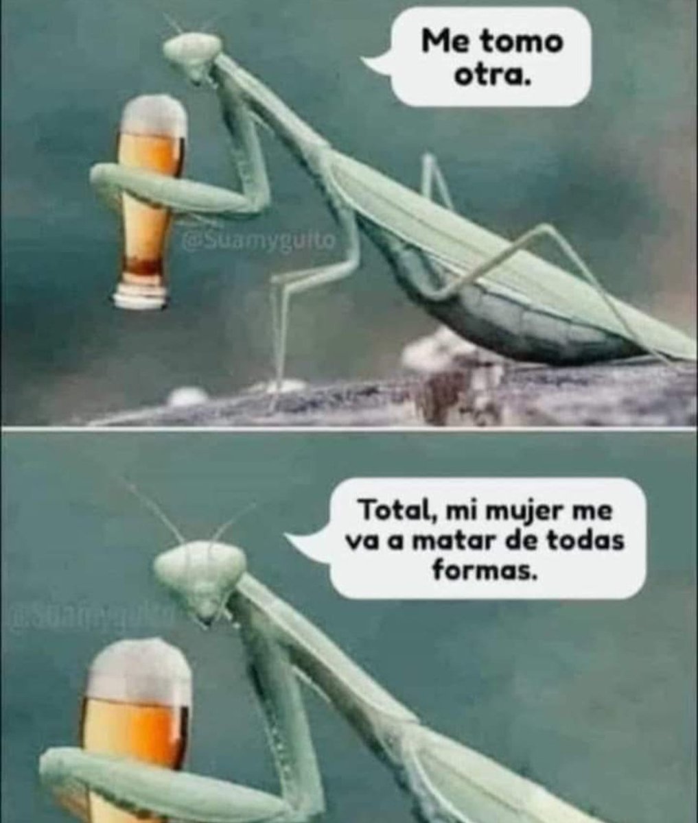 ymuchosmemes's tweet photo. https://t.co/WiFK2lDcw4