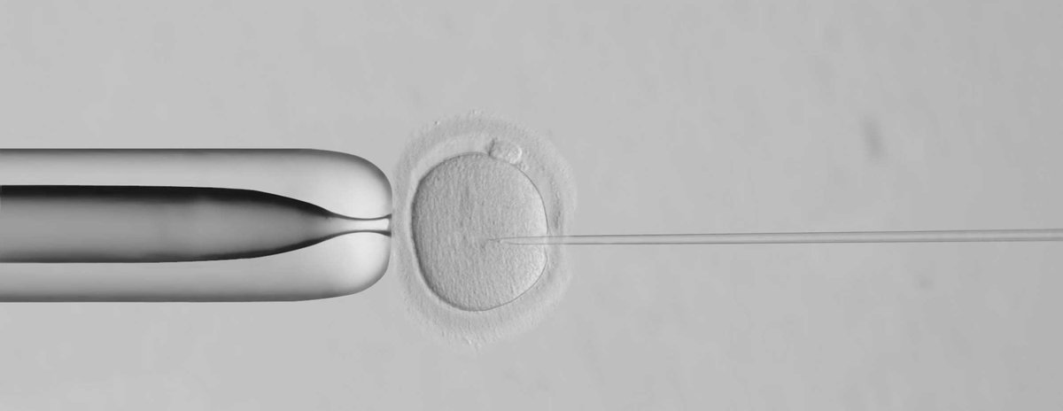 Stash Magazine tweet media