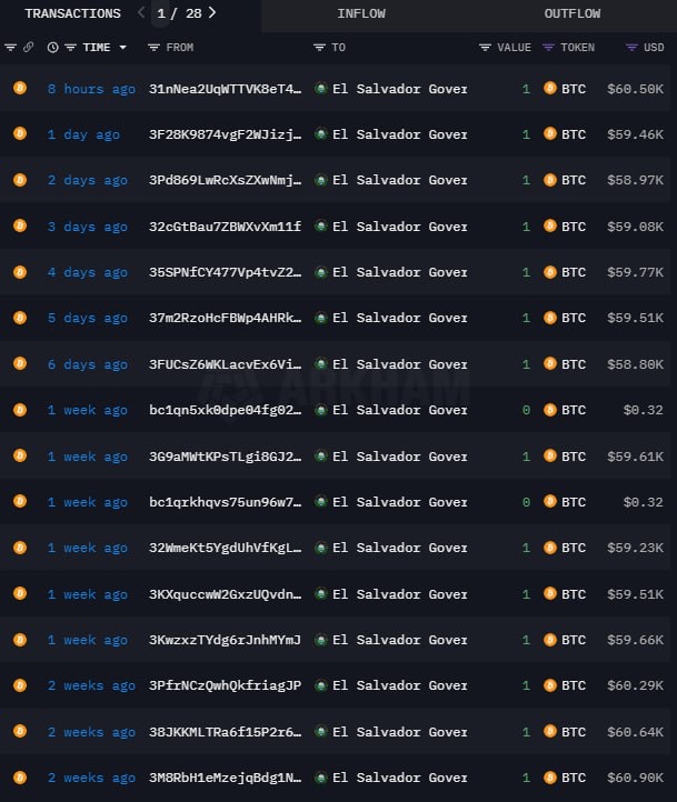 _criptonews's tweet image. El Salvador is buying 1 #Bitcoin every day. How much are you stacking?