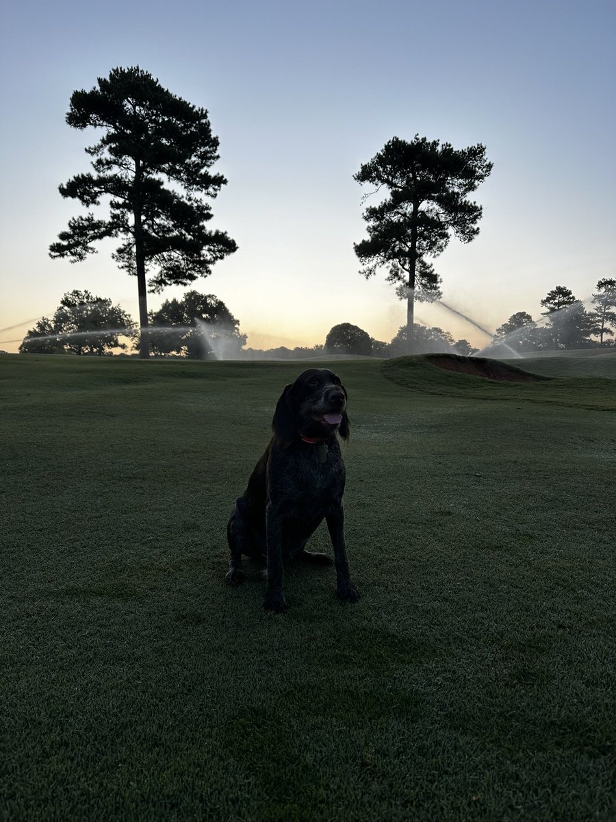 Georgia Riley tweet media