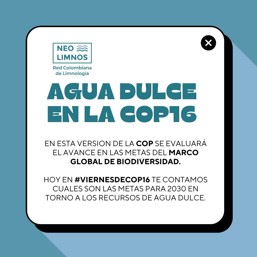 ¡Hoy en #ViernesDeCOP16, desde la Red Colombiana de Limnología, compartimos las metas del Marco Global de Biodiversidad de Kunming-Montreal para la conservación de los recursos de agua dulce! 🐟🦦💧🧵 #AquaCOP16 #COP16Colombia