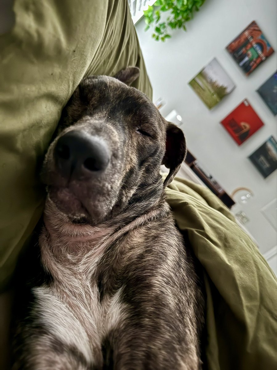 💤💤💤
