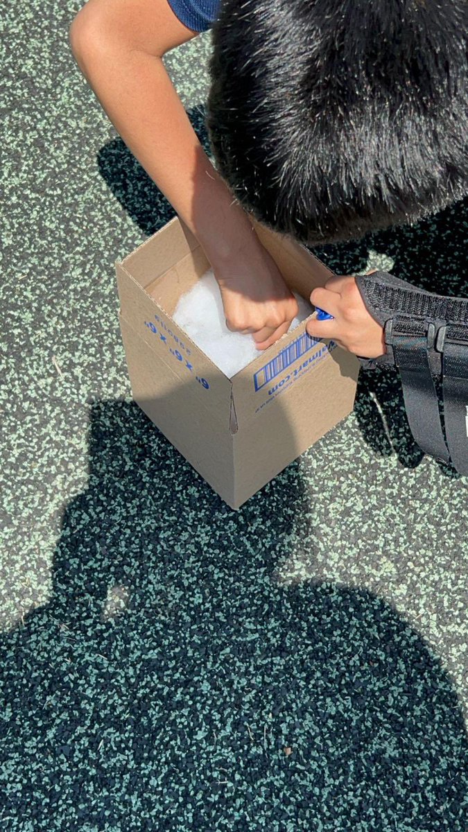 Check out our students experimenting with the best way to protect their egg in their egg drop experiment! @cortezLupe1 @CharlieGarciaFW