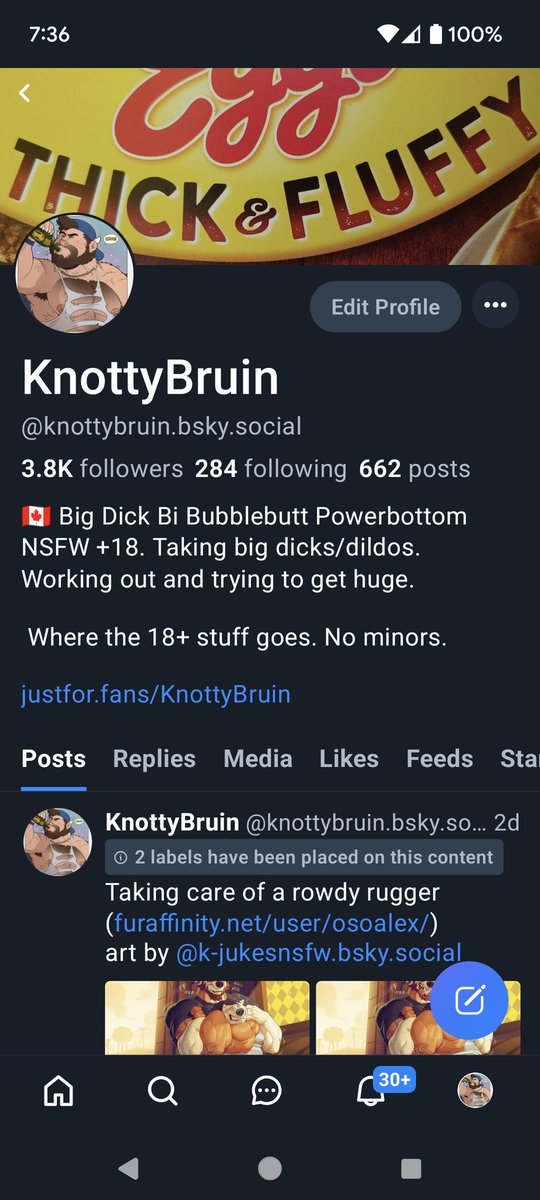 Knottybruin | ➡️ Ams Brl pride tweet media