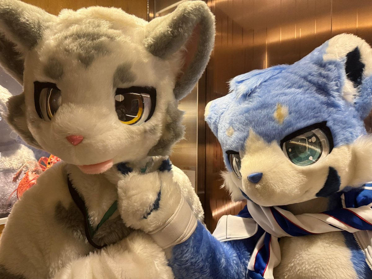 #FursuitFriday
我很帥，兄弟你也是