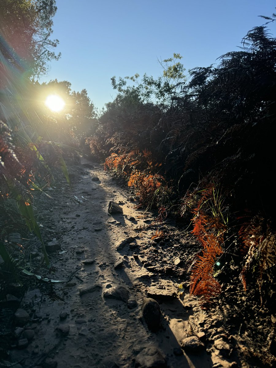 DeanOelsch's tweet photo. 6. I definitely prefer trail running to road. I prefer the environments, the variation and the pace. A good trail is about 50%-100% slower than the speed of a road run over the same distance. Trail running is not the same thing as an off road run. https://t.co/EOsUhcFYeQ