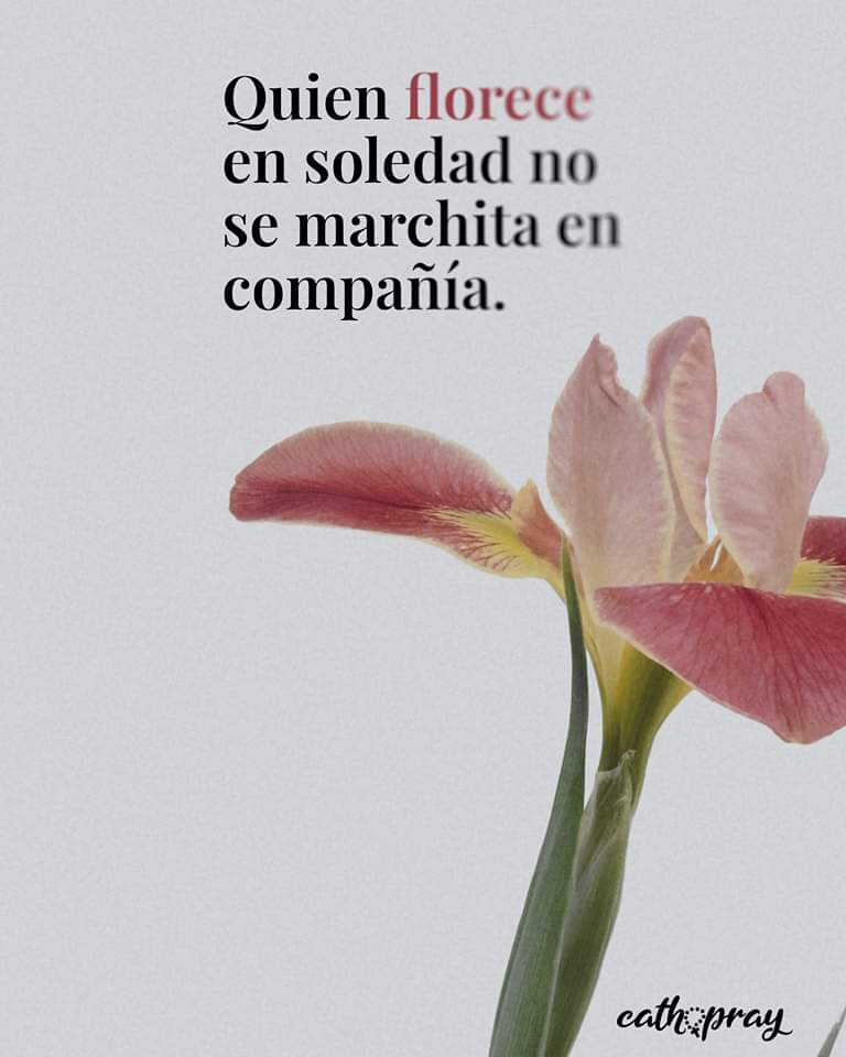 Maria del Carmen Becerril (@bbmarycar) on Twitter photo 