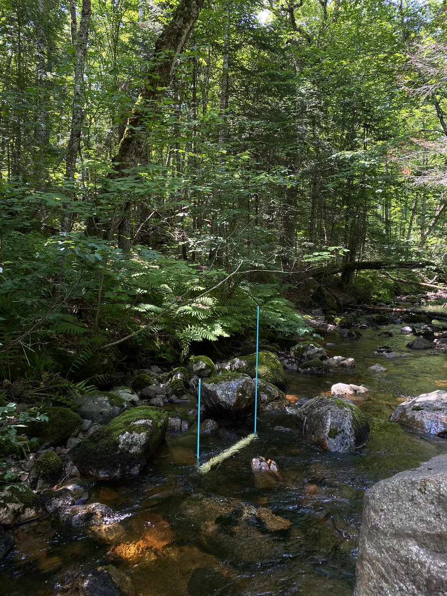 Danielle Hudson tweet media