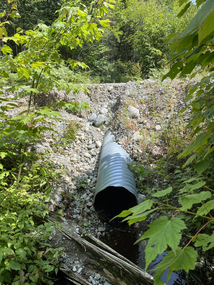 Danielle Hudson tweet media